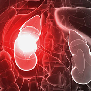 Life after kidney failure recovery